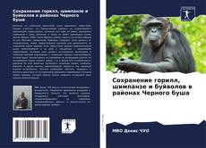 Сохранение горилл, шимпанзе и буйволов в районах Черного буша的封面