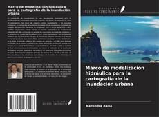 Buchcover von Marco de modelización hidráulica para la cartografía de la inundación urbana