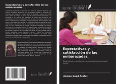 Copertina di Expectativas y satisfacción de las embarazadas
