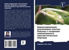 Bookcover of Циркулирующие опухолевые клетки: Подход к созданию неинвазивного прогностического маркера