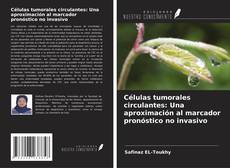 Copertina di Células tumorales circulantes: Una aproximación al marcador pronóstico no invasivo