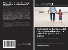Buchcover von El derecho de herencia del cónyuge excedente en la comunión parcial de bienes