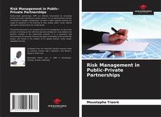 Bookcover of Risk Management in Public-Private Partnerships