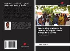 Bookcover of Protecting vulnerable people in Niger, from words to action: