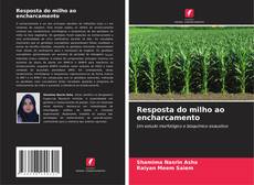 Buchcover von Resposta do milho ao encharcamento