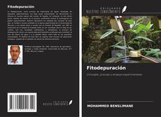 Copertina di Fitodepuración