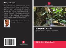 Buchcover von Fito-purificação