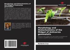 Bookcover of Morphology and Histochemistry of the Midgut of Anticarsia gemmatalis