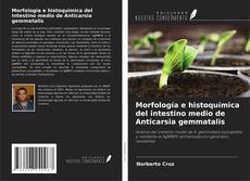 Copertina di Morfología e histoquímica del intestino medio de Anticarsia gemmatalis