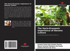 Bookcover of The Socio-Economic Importance of Banana Culture