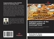 Bookcover of Implementation of the SIG/BIM system at municipal level