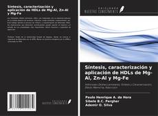 Copertina di Síntesis, caracterización y aplicación de HDLs de Mg-Al, Zn-Al y Mg-Fe