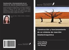 Copertina di Construcción y funcionamiento de un sistema de reacción bioelectroquímica