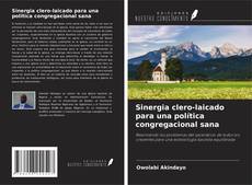Copertina di Sinergia clero-laicado para una política congregacional sana