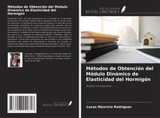 Copertina di Métodos de Obtención del Módulo Dinámico de Elasticidad del Hormigón