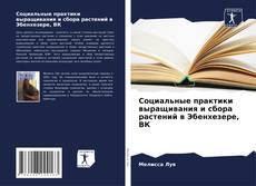 Couverture de Социальные практики выращивания и сбора растений в Эбенхезере, ВК