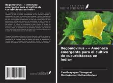 Buchcover von Begomovirus - « Amenaza emergente para el cultivo de cucurbitáceas en India»