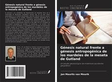 Copertina di Génesis natural frente a génesis antropogénica de los mardeles de la meseta de Gutland