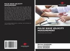 Bookcover of PULSE WAVE VELOCITY MEASUREMENT