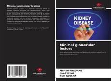 Bookcover of Minimal glomerular lesions