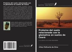 Copertina di Proteína del suelo relacionada con la glomalina en suelos de Ceará