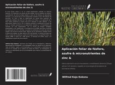 Copertina di Aplicación foliar de fósforo, azufre & micronutrientes de zinc &