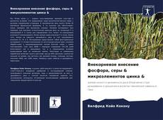 Couverture de Внекорневое внесение фосфора, серы & микроэлементов цинка &