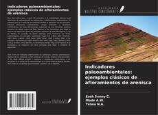 Copertina di Indicadores paleoambientales: ejemplos clásicos de afloramientos de arenisca