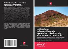 Copertina di Indicadores paleoambientais: exemplos clássicos de afloramentos de arenito