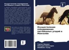 Couverture de Осуществление планирования пастбищных угодий в Монголии