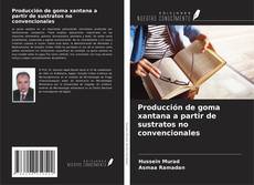 Copertina di Producción de goma xantana a partir de sustratos no convencionales