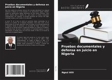 Copertina di Pruebas documentales y defensa en juicio en Nigeria