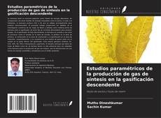 Capa do livro de Estudios paramétricos de la producción de gas de síntesis en la gasificación descendente 