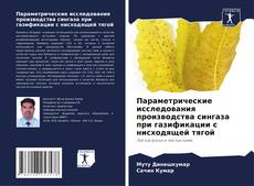 Couverture de Параметрические исследования производства сингаза при газификации с нисходящей тягой