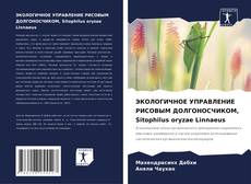 Couverture de ЭКОЛОГИЧНОЕ УПРАВЛЕНИЕ РИСОВЫМ ДОЛГОНОСЧИКОМ, Sitophilus oryzae Linnaeus