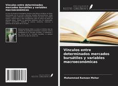Vínculos entre determinados mercados bursátiles y variables macroeconómicas的封面