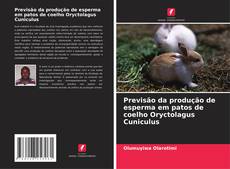 Copertina di Previsão da produção de esperma em patos de coelho Oryctolagus Cuniculus