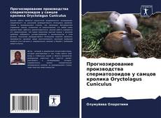 Couverture de Прогнозирование производства сперматозоидов у самцов кролика Oryctolagus Cuniculus