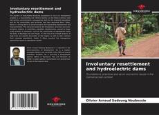 Bookcover of Involuntary resettlement and hydroelectric dams