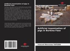 Bookcover of Artificial insemination of pigs in Burkina Faso