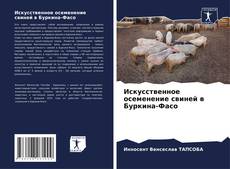 Искусственное осеменение свиней в Буркина-Фасо的封面