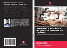 Buchcover von Panorâmica anatómica da glândula mamária em caprinos