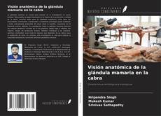 Visión anatómica de la glándula mamaria en la cabra的封面