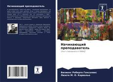 Начинающий преподаватель的封面