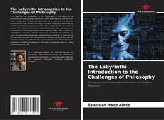 Bookcover of The Labyrinth: Introduction to the Challenges of Philosophy