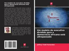 Buchcover von Um modelo de executivo dividido para a democracia africana está ultrapassado