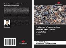 Copertina di Production of monocalcium from red sand central phosphates