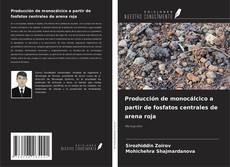 Bookcover of Producción de monocálcico a partir de fosfatos centrales de arena roja