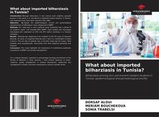 Bookcover of What about imported bilharziasis in Tunisia?