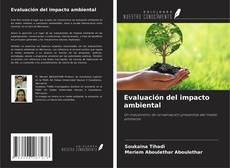 Evaluación del impacto ambiental kitap kapağı